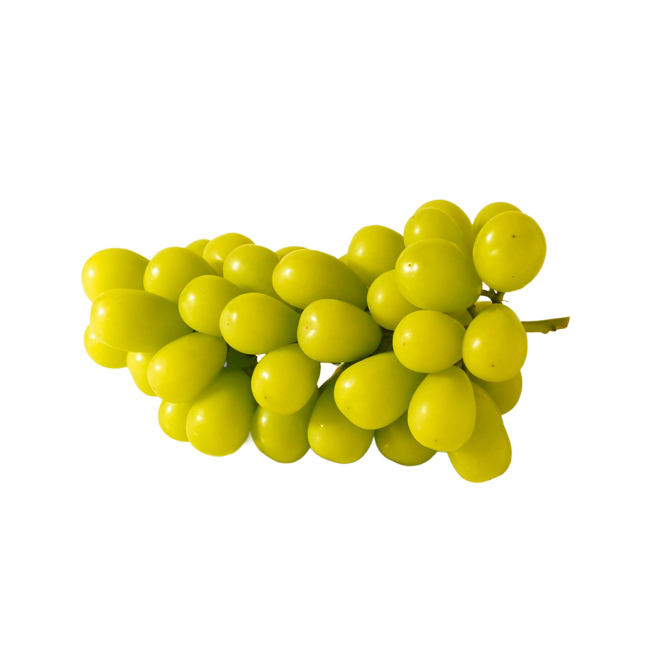 完売のお知らせ