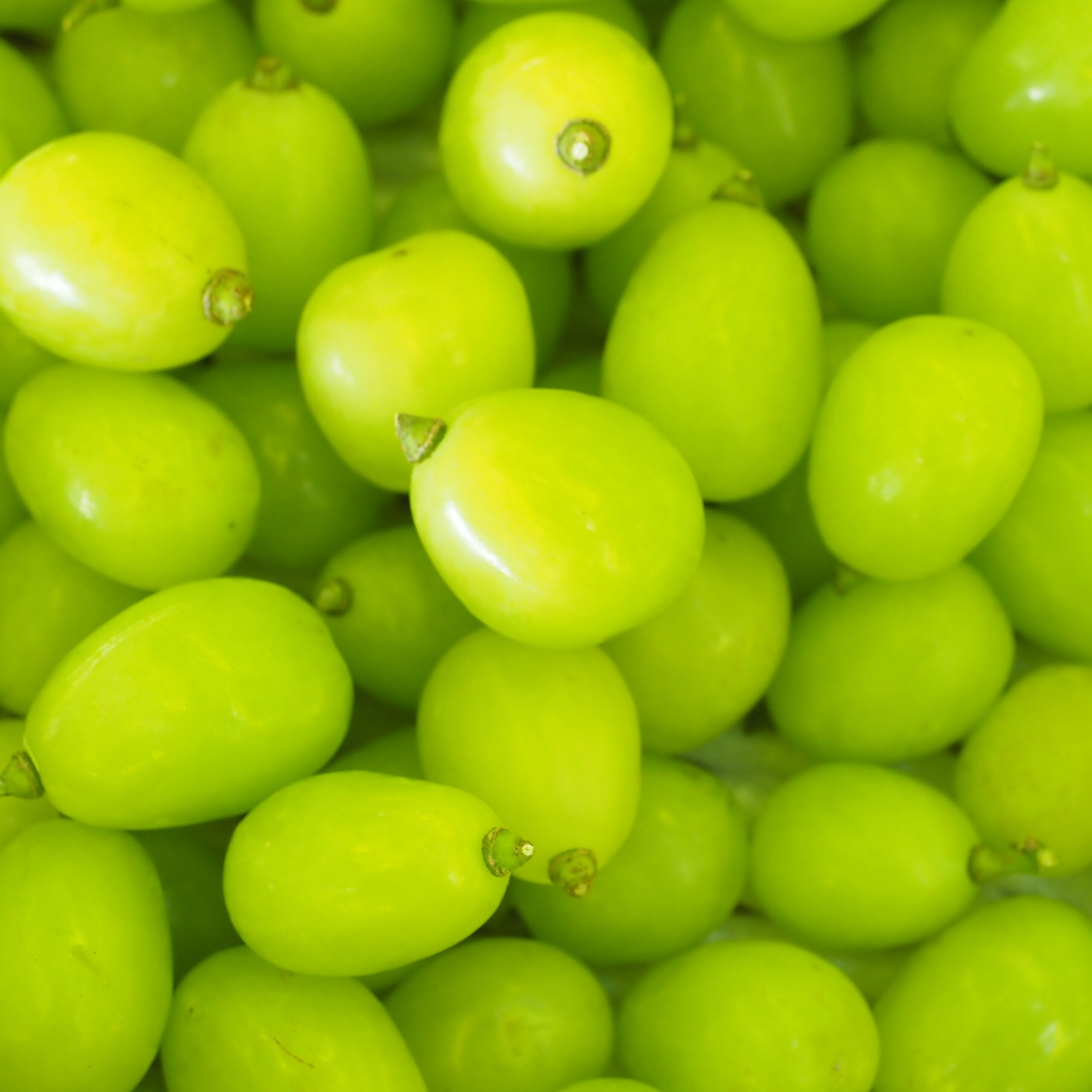 完売のお知らせ